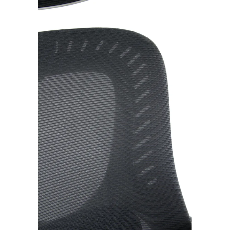 Fotel biurowy ergonomiczny, model D1, podparcie okolic lędźwiowych, składane podłokietniki, regulowany zagłówek, grafitowy Fotel biurowy ergonomiczny, model D1, podparcie okolic lędźwiowych, składane podłokietniki, regulowany zagłówek, grafitowy